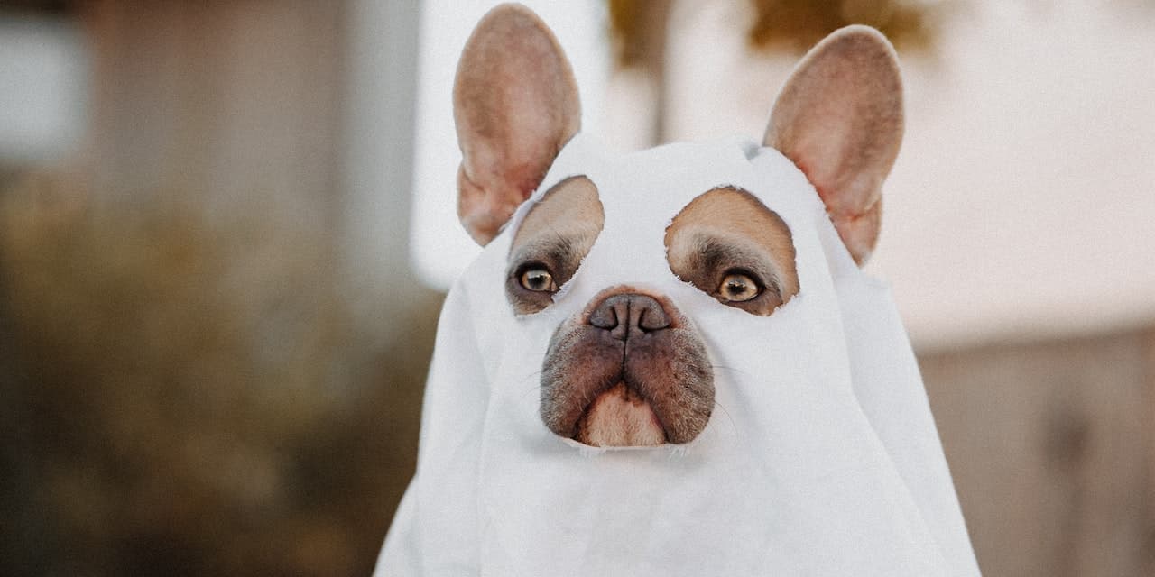 boo - Environment Diagnoser